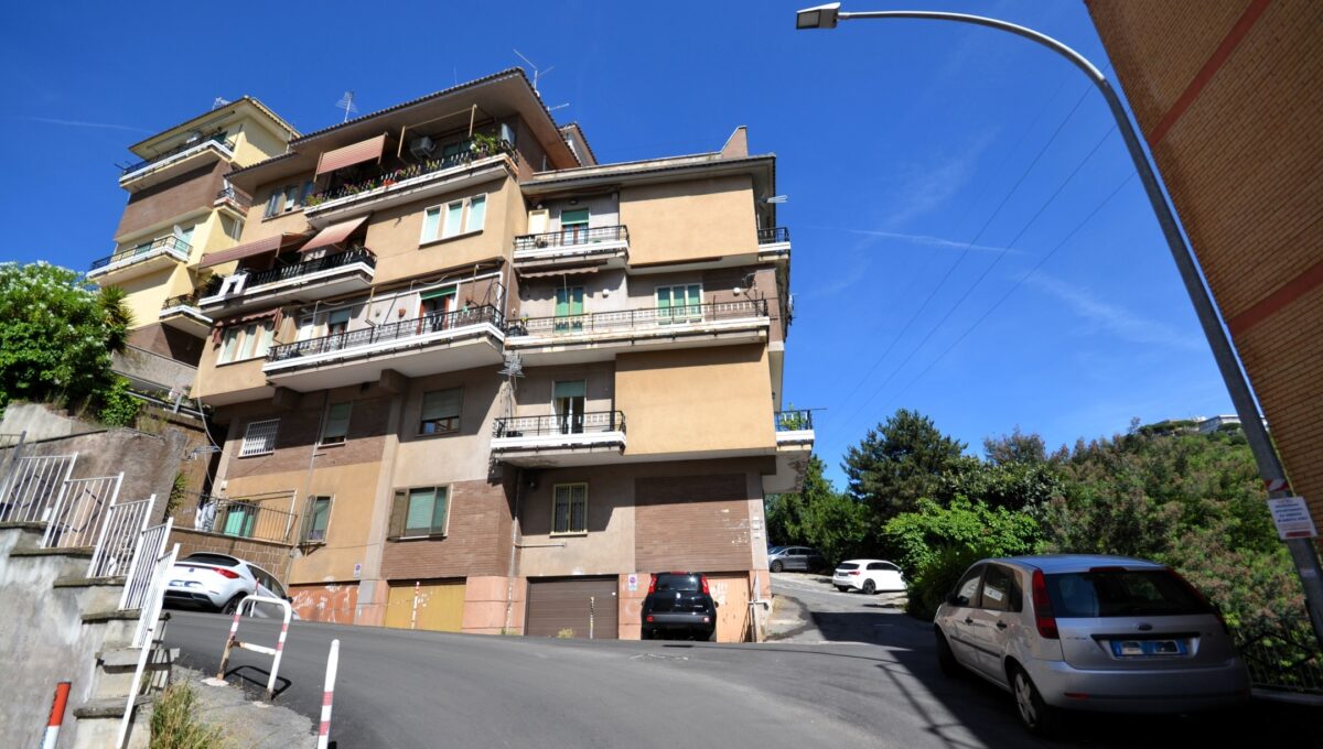Proli (1)