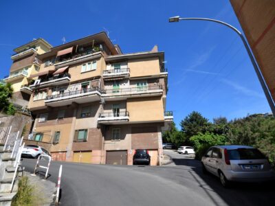 Proli (1)