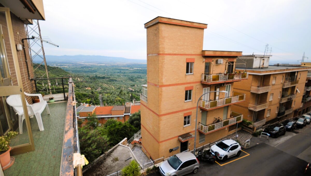 Proli (20)