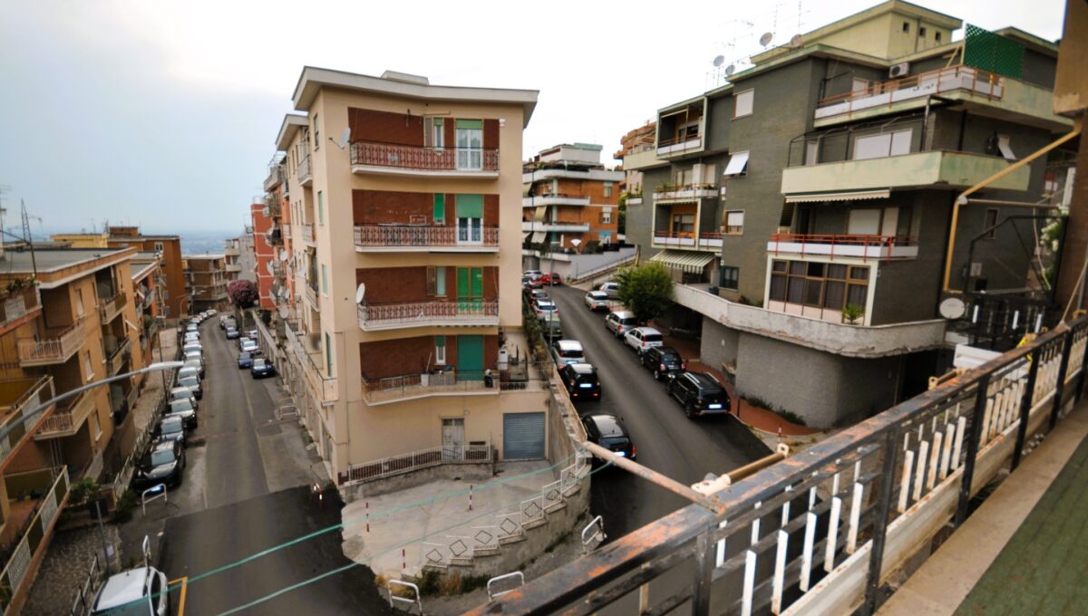 Proli (21)