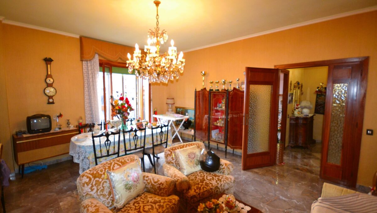 Proli (4)