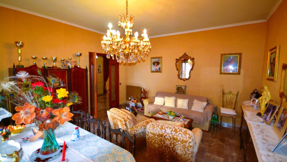 Proli (5)