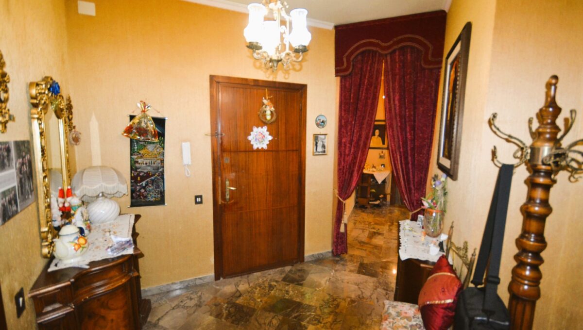 Proli (7)
